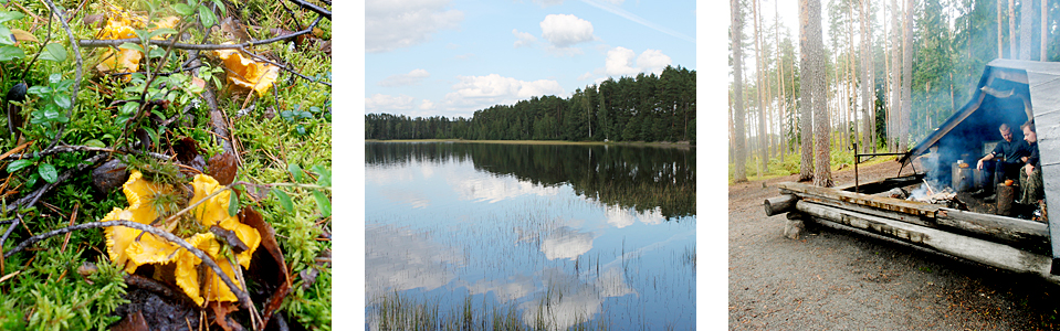 kolmikko